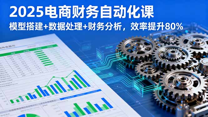 2025电商财务自动化课,模型搭建+数据处理+财务分析,效率提升80%