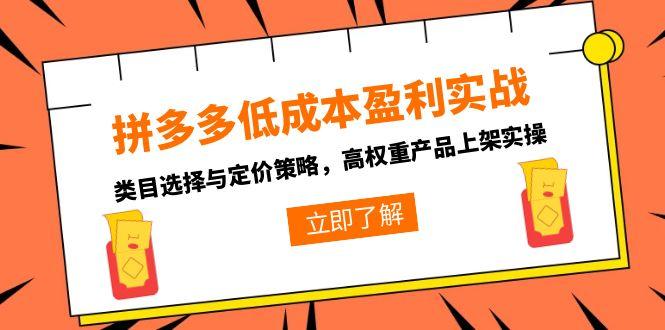 (15143期)拼多多低成本盈利实战,类目选择与定价策略,高权重产品上架实操 (15143期)拼多多低成本盈利实战,类目选择与定价策略,高权重产品上架实操