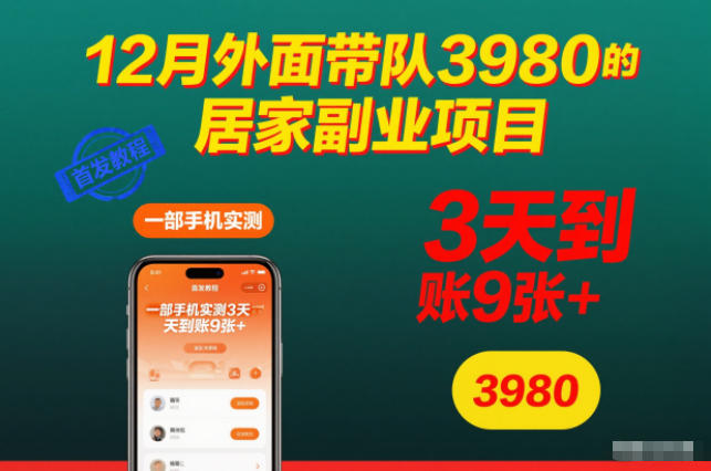 12月外面带队3980的居家副业项目,一部手机实测3天到账9张+,首发教程 12月外面带队3980的居家副业项目,一部手机实测3天到账9张+,首发教程