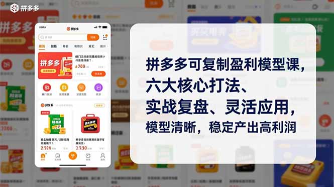 (16952期)拼多多可复制盈利模型课,六大核心打法、实战复盘、灵活应用,模型清晰,稳定产出高利润 (16952期)拼多多可复制盈利模型课,六大核心打法、实战复盘、灵活应用,模型清晰,稳定产出高利润