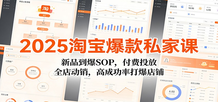 2025淘宝爆款私家课:新品到爆SOP,付费投放,全店动销,高成功率打爆店铺 2025淘宝爆款私家课:新品到爆SOP,付费投放,全店动销,高成功率打爆店铺