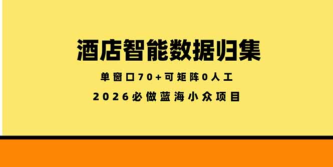 酒店智能数据归集，小众蓝海已经稳定半年之久，单窗口70+零成本矩阵开干