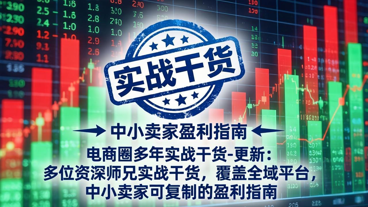 电商圈多年实战干货-更新5月20：多位资深师兄实战干货/覆盖全域平台，中小卖家可复制的盈利指南