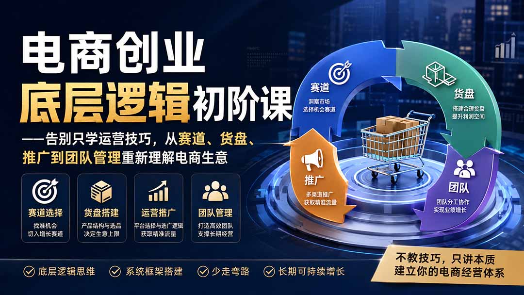 电商创业底层逻辑初阶课——告别只学运营技巧，从赛道、货盘、推广到团队管理重新理解电商生意