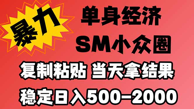 26年 最新小众情感赛道，手机操作，十分钟见收益，小白也能当天上手，全程复制粘贴模板即可，稳定日入1k+
